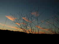 ridge_road_sunset.jpg (83998 bytes)